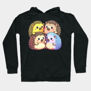 A Prickle Of Hedgehogs Hoodie